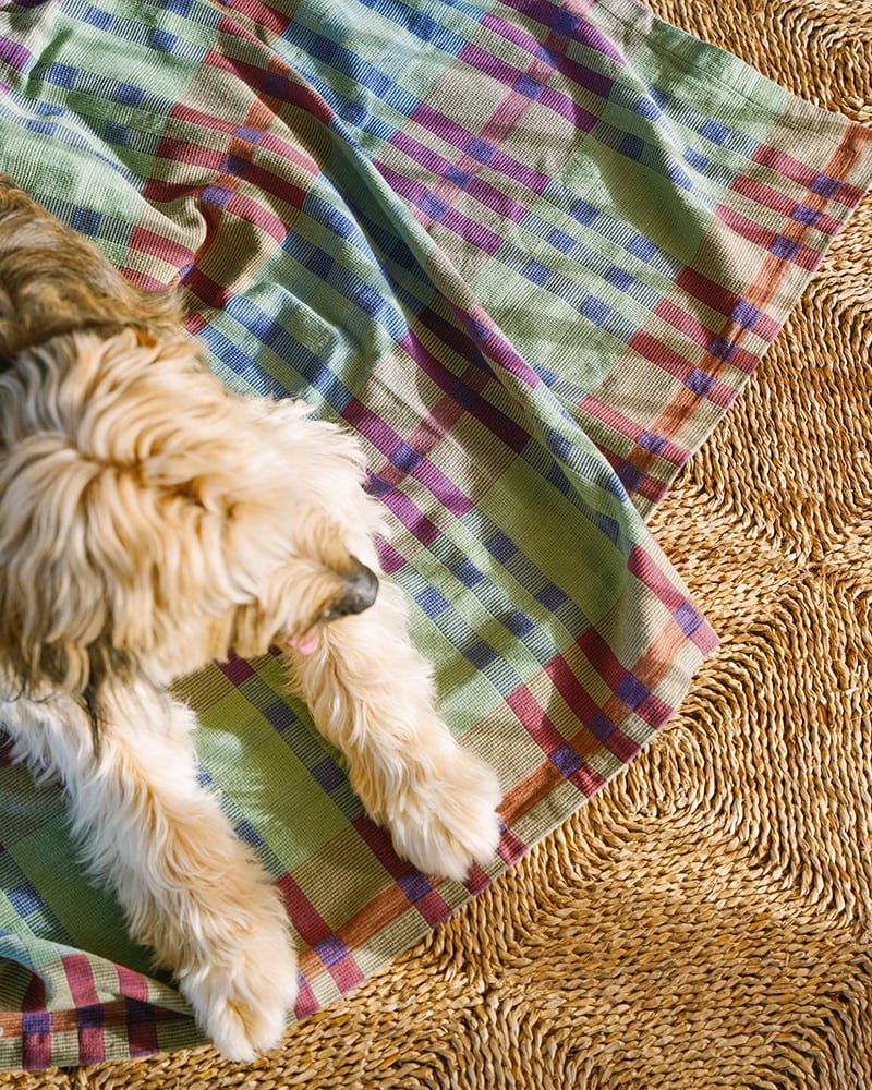 Mood shot of Mungo Fido Dog Blanket in Stella