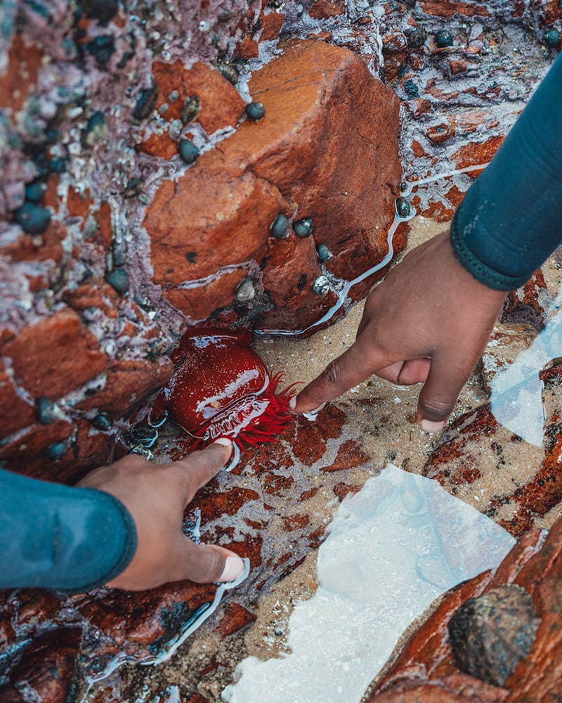 I Am Water-Mungo-058